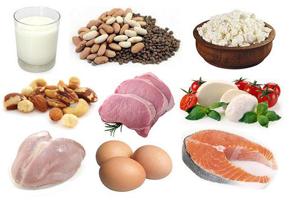 La cantidad de proteína digerir en una sola comida? Proteínas y ...