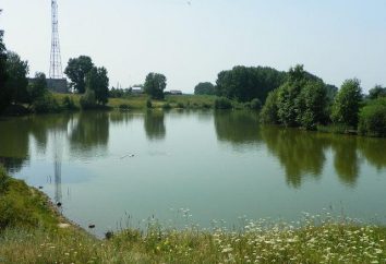 Wędkowanie w regionie Kirovograd: płatne i bezpłatne zbiorników