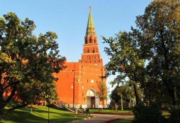 Borovitskaya Wieża Kremla Moskwa: historia. Jak dotrzeć do wieży?