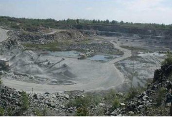 Surowce mineralne regionu Nowosybirsk: opis, wykaz nazwisk i pola