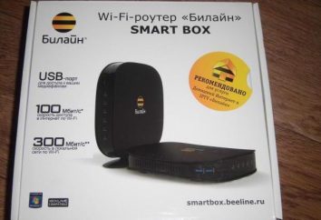 Router "Beeline" Smart Box – cechy, recenzje