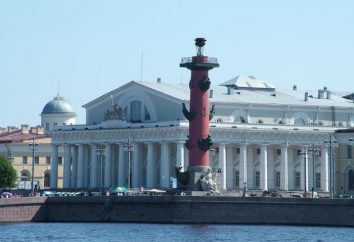 Muzeum Marynarki Wojennej w Petersburgu. Peter Muzeum