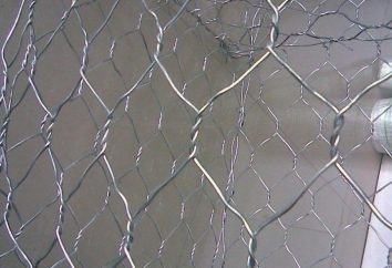 Jak zrobić ogrodzenie z siatki siatką: porady i wskazówki