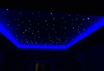 Reflektory LED do sufitów (zdjęcie). instalacja własny