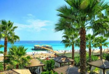 Wakacje w basenie Morza Śródziemnego: Okurcalar Resort, Turcja
