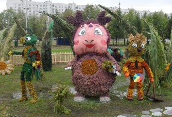 Festiwal Kwiatów w Naberezhnye Chelny – wielka ekstrawagancja magii